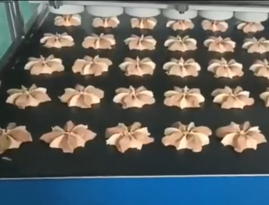 曲奇饼生产设备